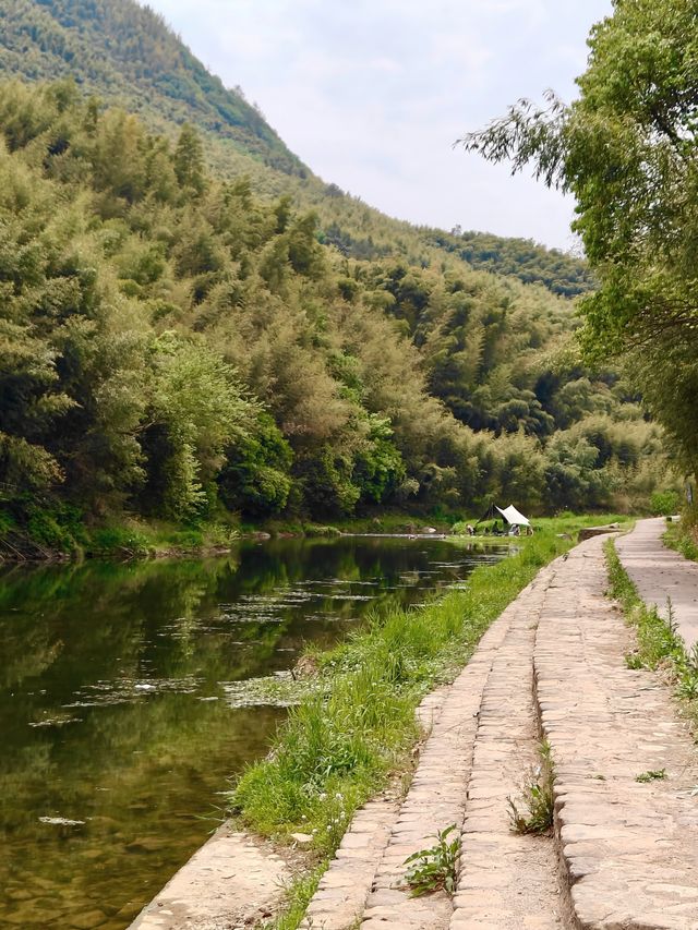莫干山隱藏玩法人少到離譜附路線