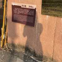 中山曹邊村｜狀元路，10分鐘竹林秘境🌳治愈解壓天花板
