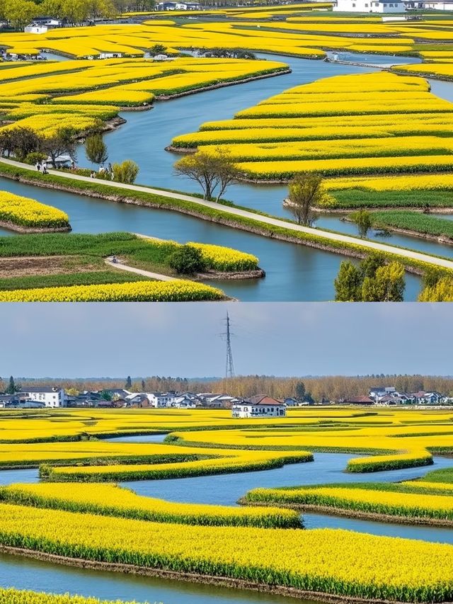 興化玩咗兩日，我嘅消費觀崩塌咗