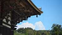 奈良東大寺，千年古剎的寂靜詩篇
