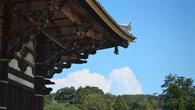 奈良東大寺，千年古剎的寂靜詩篇