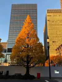 東京出光美術館交通攻略：輕鬆抵達藝術殿堂  