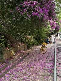 Kunming Day Trip