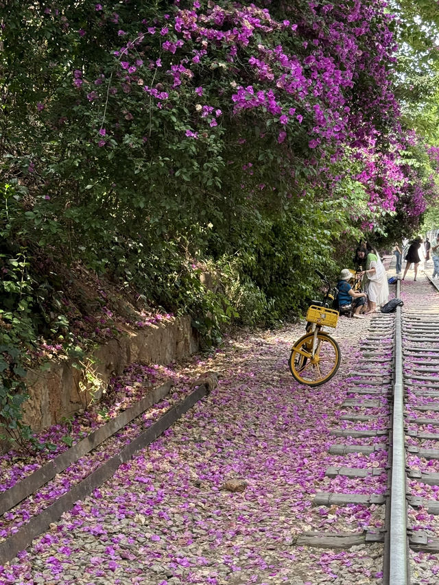 Kunming Day Trip