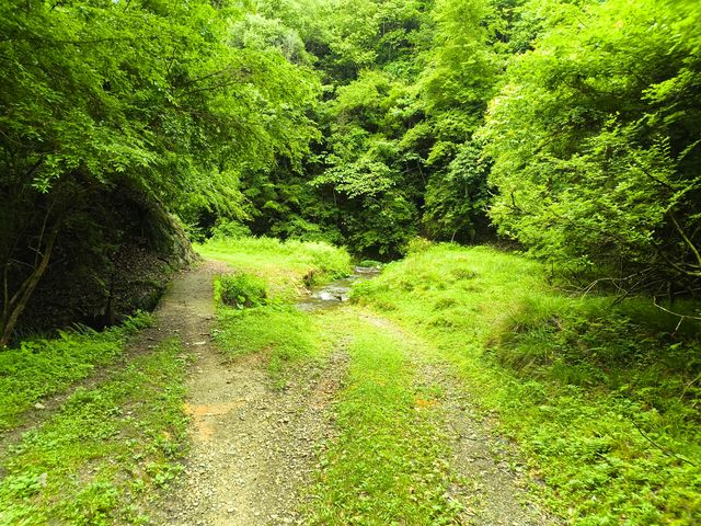 探索清流溫家山
