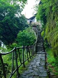 武夷山親子遊天花板！穿越千年茶香嘅奇幻秘境