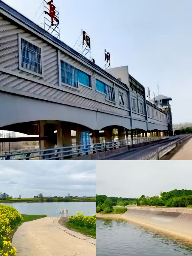 阜陽市