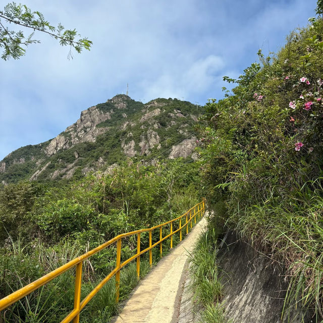 🚢🇭🇰澳門跨境香港交通爬山攻略｜暢遊青山寺、挑戰杯渡岩！