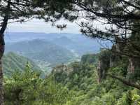 Magical 4 days in Zhangjiajie Park 
