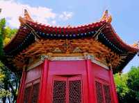 Step into China’s Past for Free: Xi’an Beilin Museum’s Open Door Days