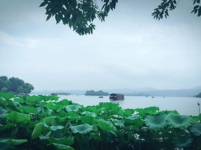 玩轉西湖風景區