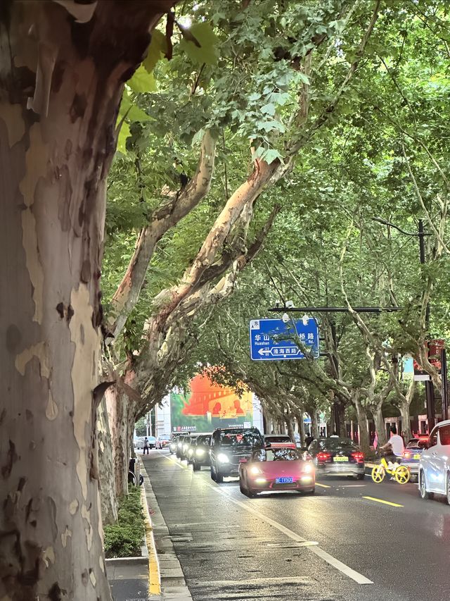 打卡電影同款地標，邂逅上海光影浪漫