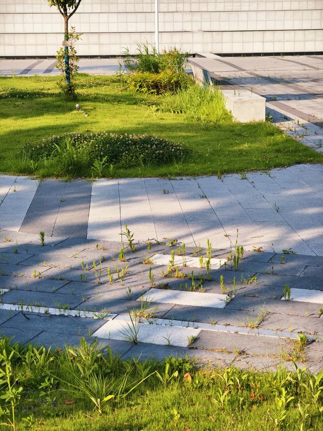 鹽城遊記·跑路嘅高合汽車
