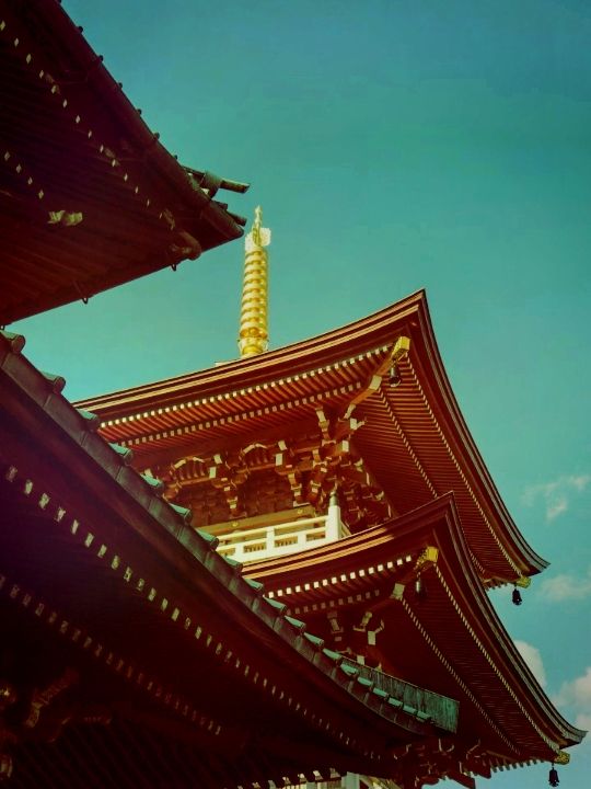 도쿄 본문사, 역사와 평온함을 찾아서​
