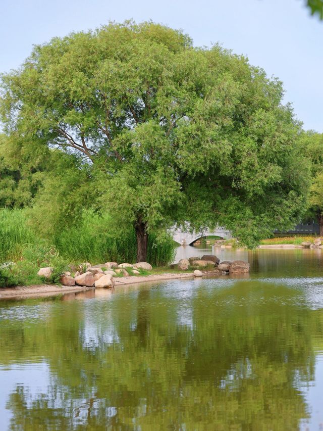 至今為止，鄭州我願意N刷嘅公園出現咗！