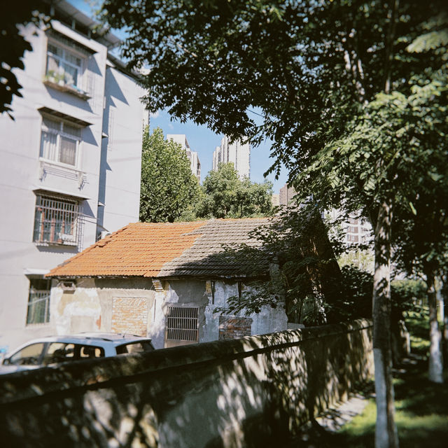 城市縫隙裡的夏日漫遊