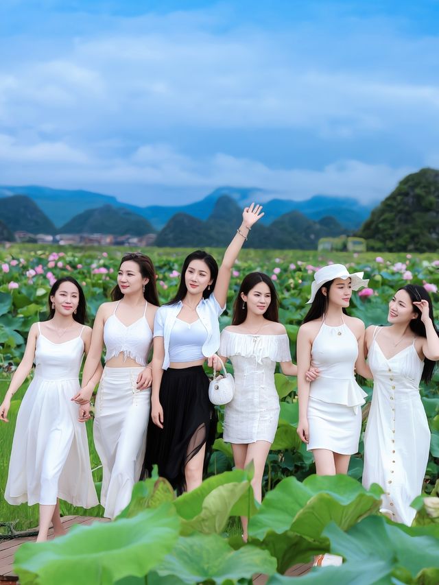 夏日普者黑：4萬畝荷花盛放的喀斯特仙境