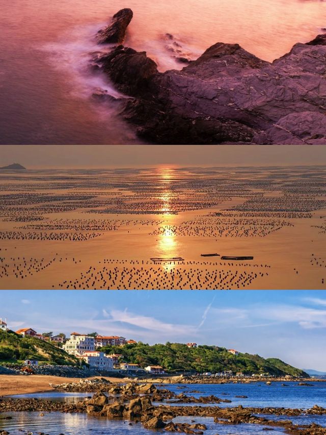 喺杭州周邊搵到寶！枸杞島夏日玩水超開心