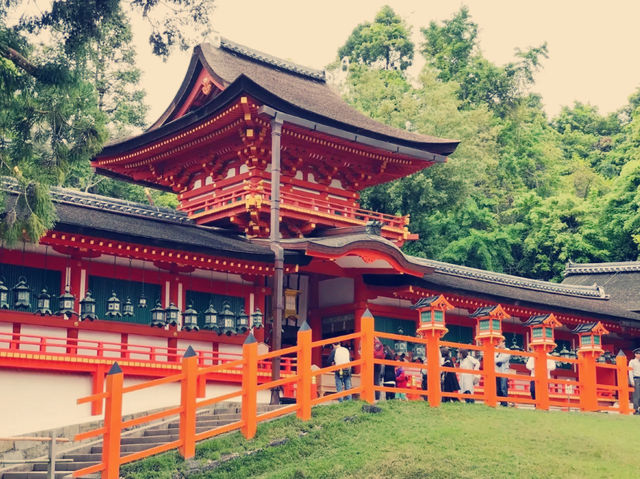**【穿越千年古韻！大阪春日大社祕境體驗全記錄】**    
