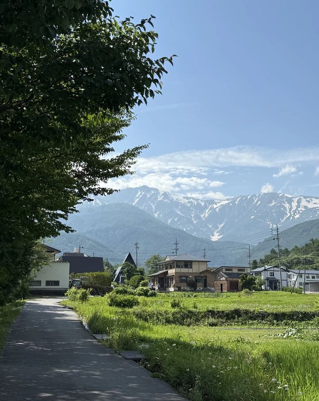 日本長野白馬村｜唔滑雪都玩到癲嘅秘境