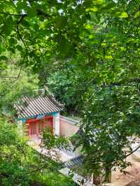 紅林村尋古——黃寶峪古廟遺址
