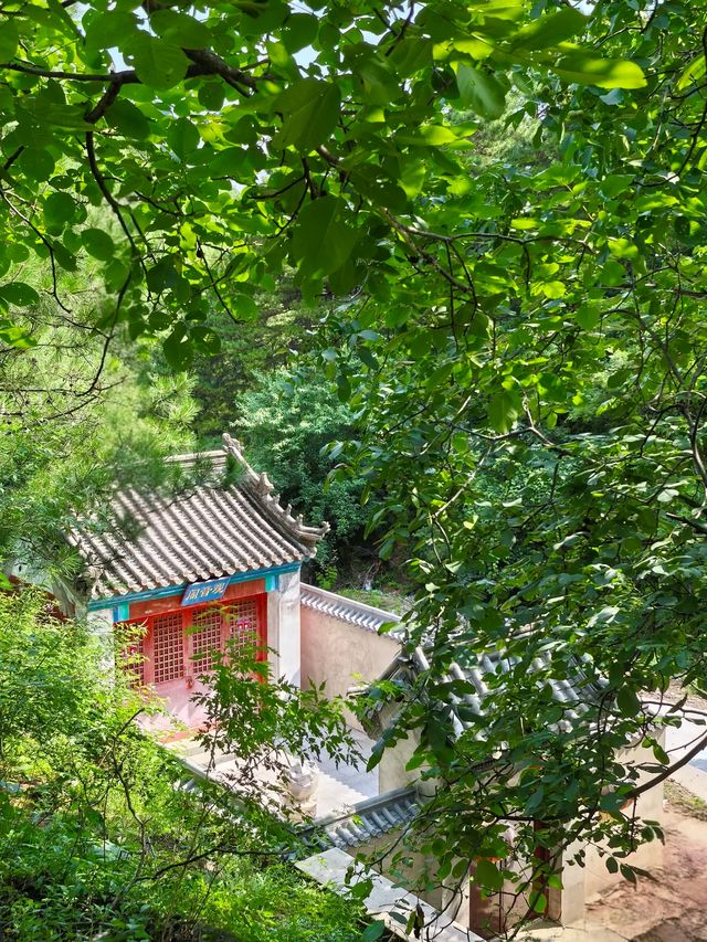 紅林村尋古——黃寶峪古廟遺址