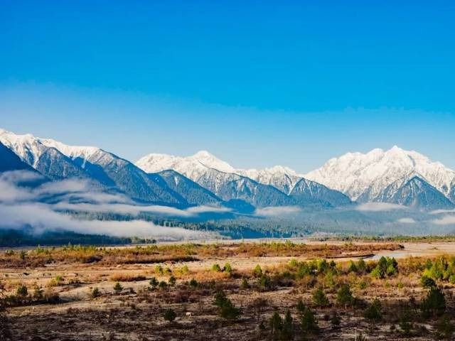 詩意嘅中國林芝站：林芝7日6夜旅行計劃