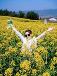 誤入油畫世界｜門源油菜花海，每一幀都是壁紙