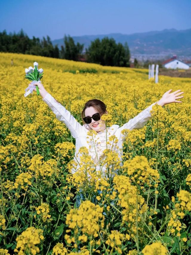 誤入油畫世界｜門源油菜花海，每一幀都是壁紙