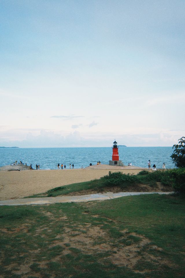 椰林海景絕美視角