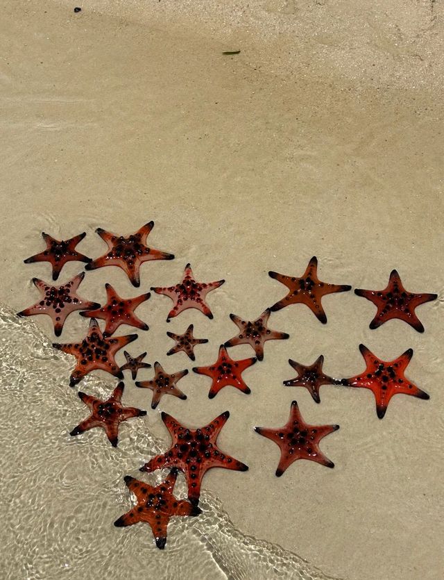 海星沙灘靚到窒息！隨手影都係大片