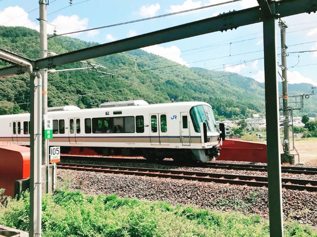 嵐山絕景！嵯峨野小火車漫遊指南】**  