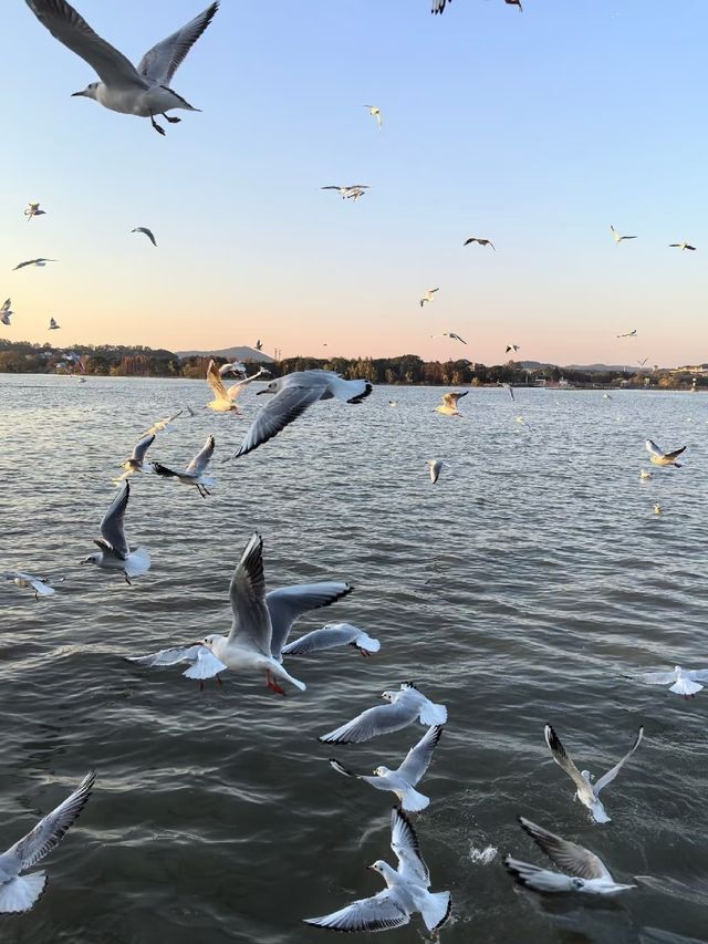 青島嘅夏夜,係袋裝啤酒入面嘅銀河! 青島嘅夏夜,係袋裝啤酒入面嘅銀河!