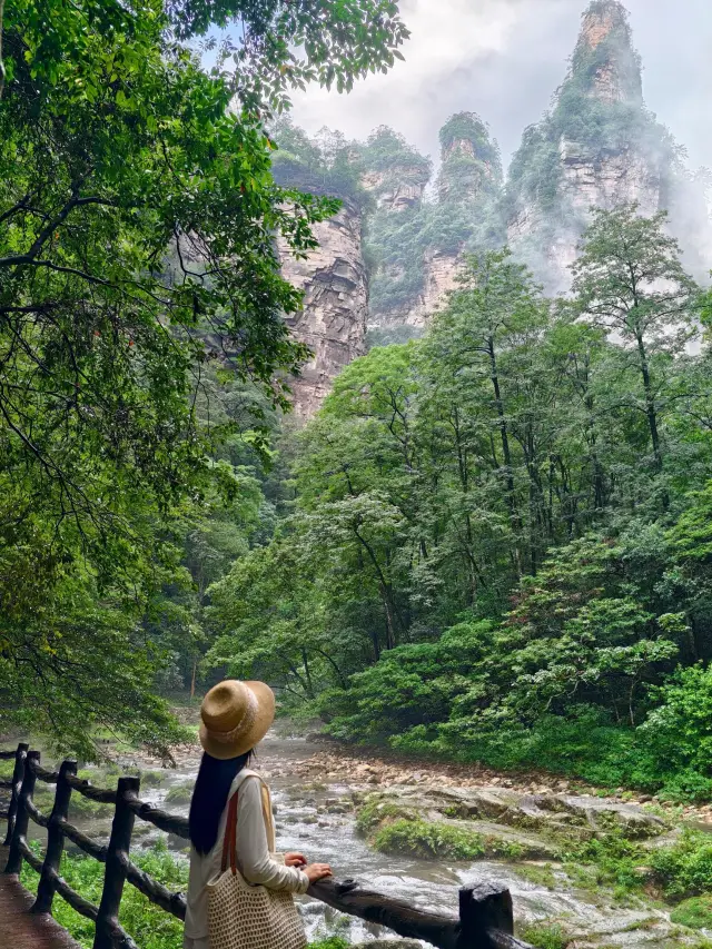 장자제 금편계: 사람이 적고 조용하며 시원해, 천곤주보다 더 놀라워!