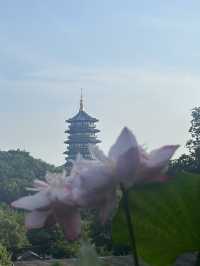 🌄【杭州秘境】拍雷峰塔絕美視角+濟公故事中的運木古井