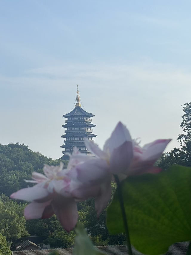 🌄【杭州秘境】拍雷峰塔絕美視角+濟公故事中的運木古井