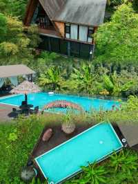 在衢州!住進森林小木屋超chill