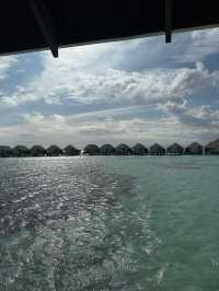 Magical Week at Lux: A Honeymoon to Remember