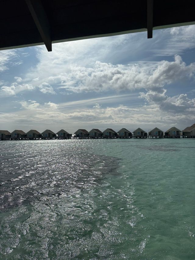 Magical Week at Lux: A Honeymoon to Remember