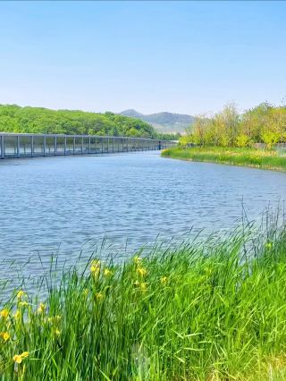 친구들한테 올렸더니 난리 났어요, 여기가 정말 알타이가 아니에요