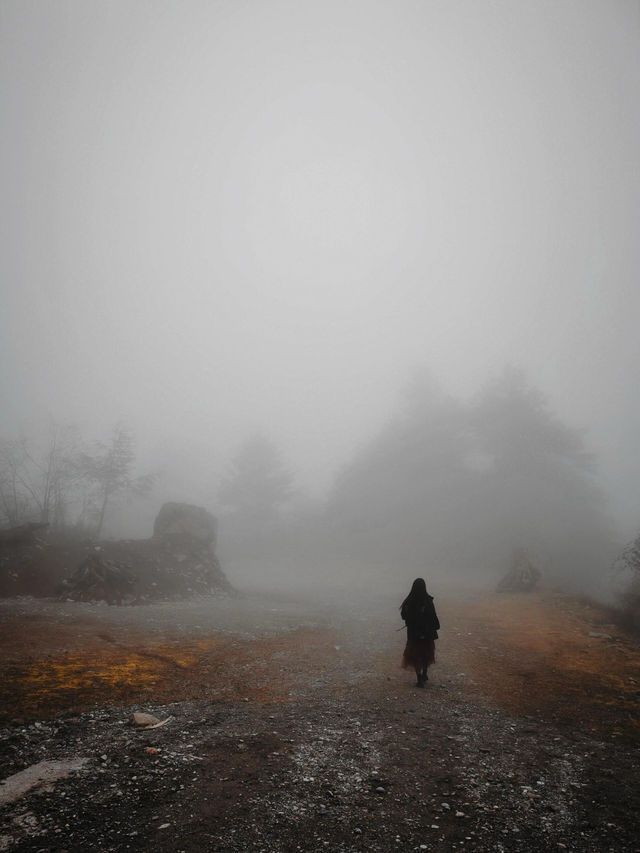 不翻山不高反這裡的彩林不輸川西