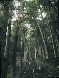 和歌山4天3夜漫遊指南|山海古寺的靜謐之旅