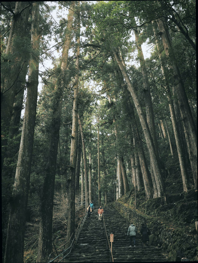 和歌山4天3夜漫遊指南|山海古寺的靜謐之旅 和歌山4天3夜漫遊指南|山海古寺的靜謐之旅