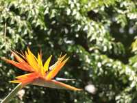 昆明靈魂的後花園——翠湖公園