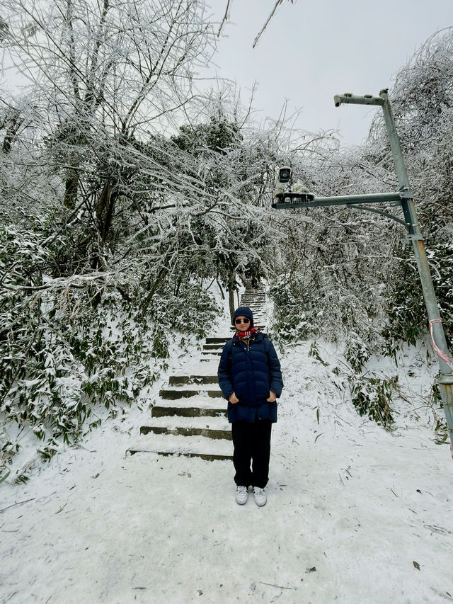 Tianmen Snow Guide🗻