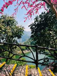 Bamboo trails, mountain air, and a zipline through the clouds — Guangzhou escape!