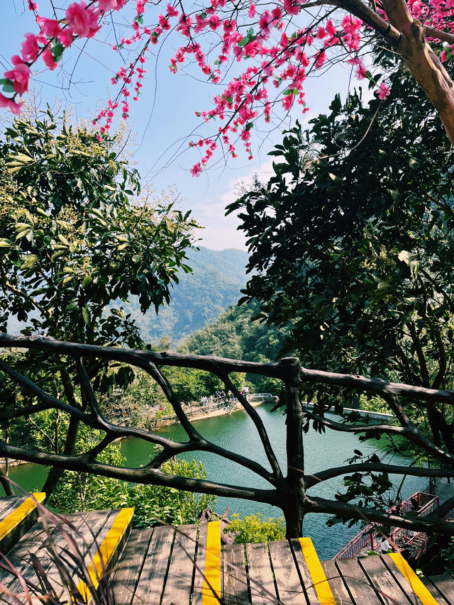 Bamboo trails, mountain air, and a zipline through the clouds — Guangzhou escape!