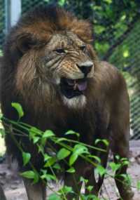 重慶動物園秋日蟲動時裝秀