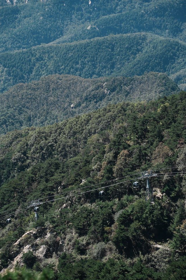 十一國慶假期·登泰山記