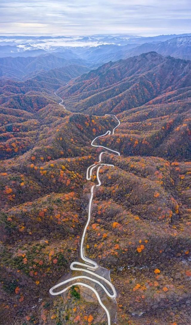 留壩紅葉季賞秋路線上線 留壩紅葉季賞秋路線上線